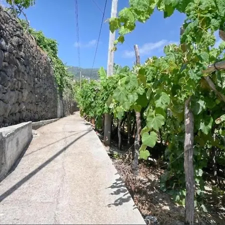 Casa Sienna Calheta-a Spectacular Ocean View Place Apartment Calheta (Madeira)